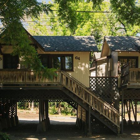 Johnson'S Beach Cabins And Campground Guerneville Buitenkant foto