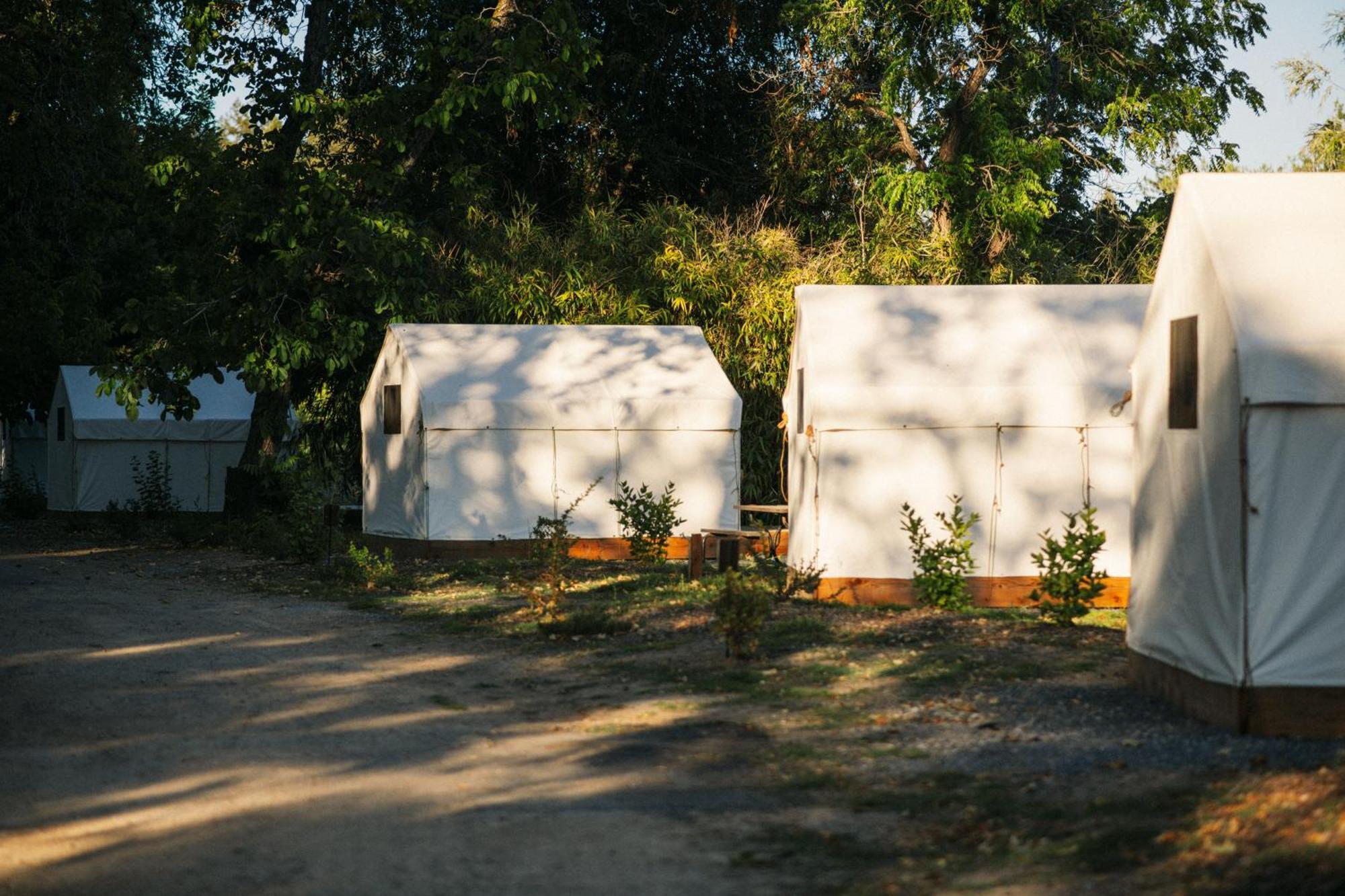 Johnson'S Beach Cabins And Campground Guerneville Buitenkant foto