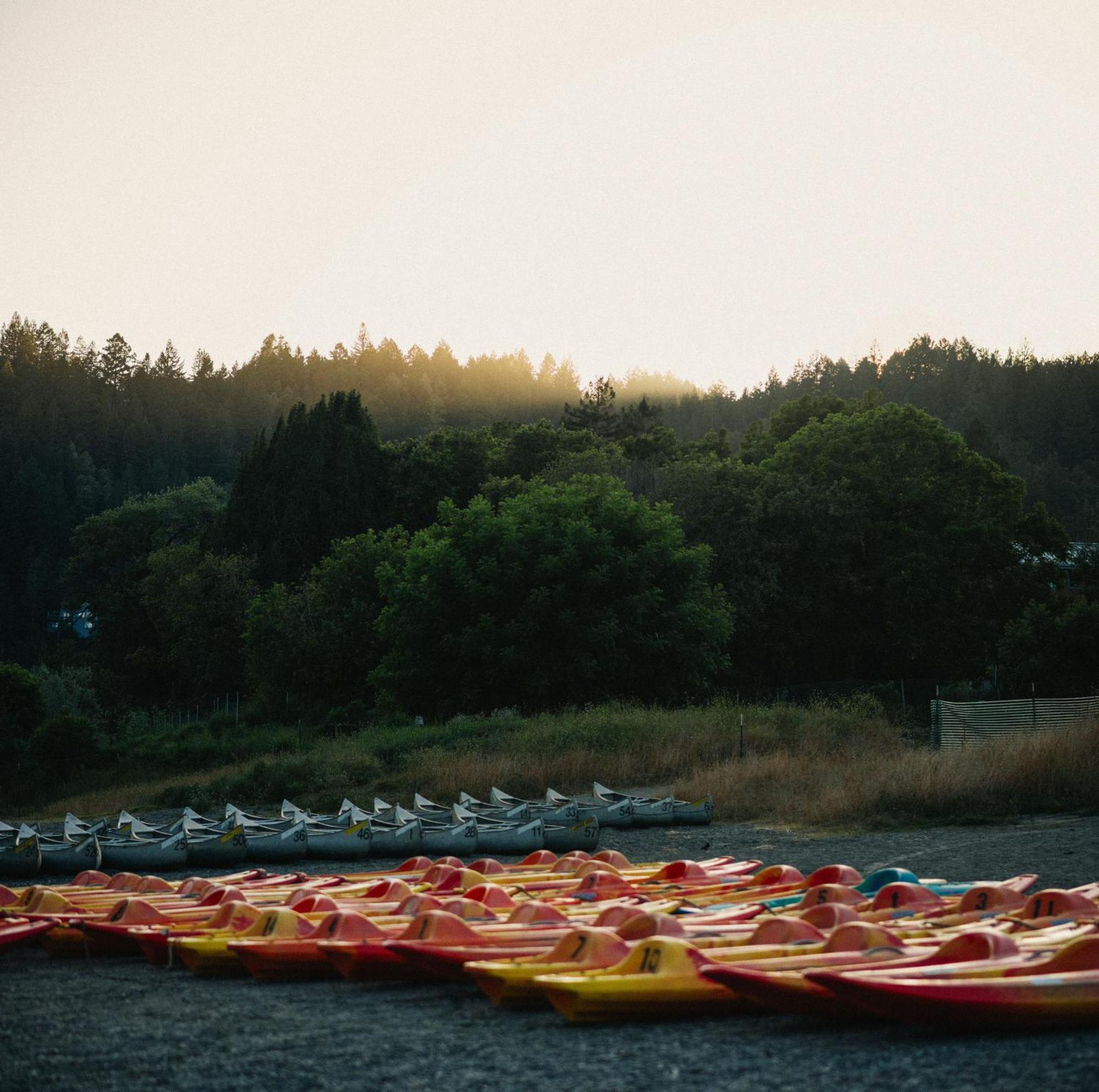 Johnson'S Beach Cabins And Campground Guerneville Buitenkant foto